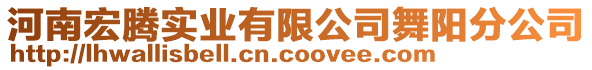 河南宏騰實業(yè)有限公司舞陽分公司