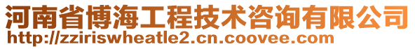 河南省博海工程技術(shù)咨詢有限公司