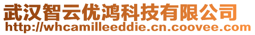 武漢智云優鴻科技有限公司