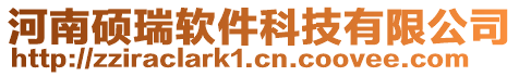 河南碩瑞軟件科技有限公司
