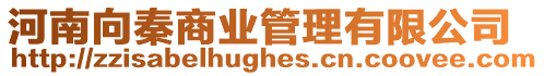 河南向秦商業(yè)管理有限公司