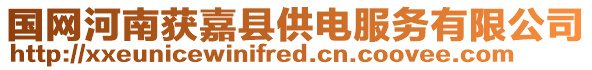 國(guó)網(wǎng)河南獲嘉縣供電服務(wù)有限公司