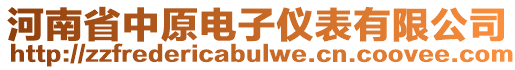 河南省中原電子儀表有限公司