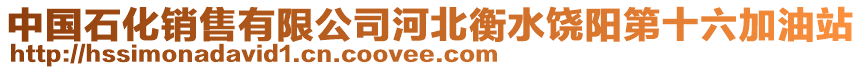 中國石化銷售有限公司河北衡水饒陽第十六加油站