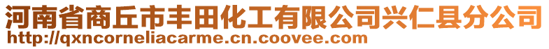 河南省商丘市豐田化工有限公司興仁縣分公司