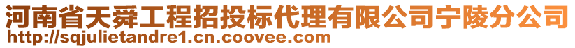 河南省天舜工程招投标代理有限公司宁陵分公司