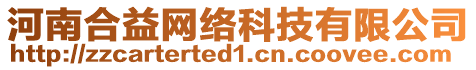 河南合益網(wǎng)絡(luò)科技有限公司