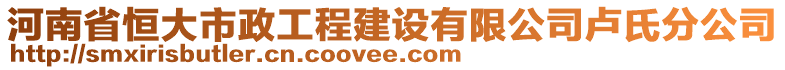 河南省恒大市政工程建設有限公司盧氏分公司