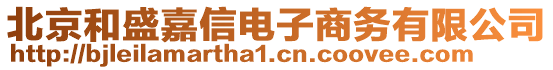 北京和盛嘉信電子商務(wù)有限公司