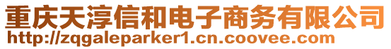 重慶天淳信和電子商務有限公司