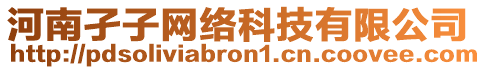 河南孑子网络科技有限公司