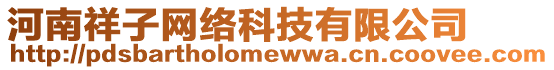 河南祥子網(wǎng)絡(luò)科技有限公司