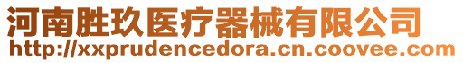 河南勝玖醫(yī)療器械有限公司