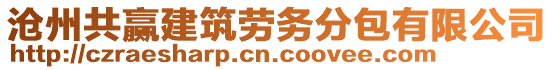 滄州共贏建筑勞務分包有限公司