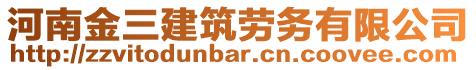 河南金三建筑劳务有限公司