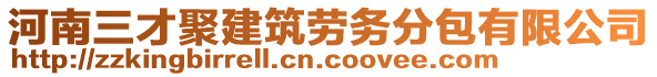 河南三才聚建筑勞務分包有限公司