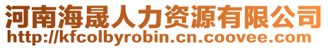 河南海晟人力資源有限公司