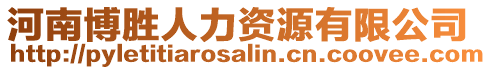 河南博勝人力資源有限公司