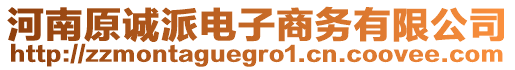 河南原誠派電子商務(wù)有限公司