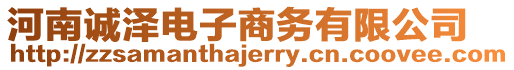 河南誠澤電子商務有限公司