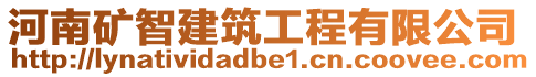 河南礦智建筑工程有限公司