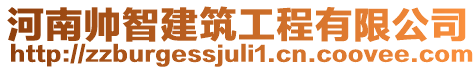 河南帥智建筑工程有限公司