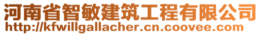 河南省智敏建筑工程有限公司