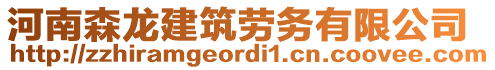 河南森龍建筑勞務(wù)有限公司