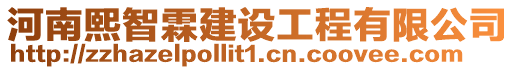 河南熙智霖建設工程有限公司