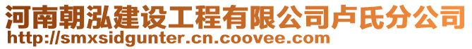 河南朝泓建设工程有限公司卢氏分公司