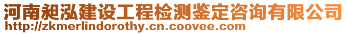 河南昶泓建設工程檢測鑒定咨詢有限公司