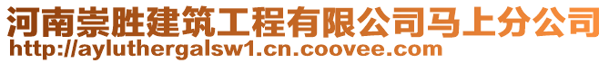 河南崇勝建筑工程有限公司馬上分公司