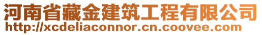 河南省藏金建筑工程有限公司