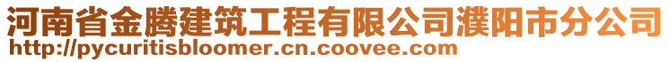 河南省金騰建筑工程有限公司濮陽(yáng)市分公司