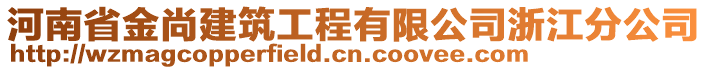 河南省金尚建筑工程有限公司浙江分公司