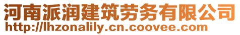 河南派潤建筑勞務(wù)有限公司