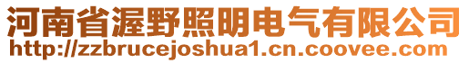 河南省渥野照明電氣有限公司