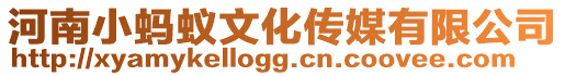 河南小螞蟻文化傳媒有限公司