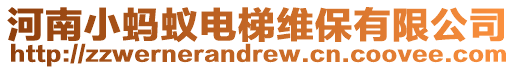河南小螞蟻電梯維保有限公司