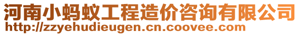 河南小螞蟻工程造價咨詢有限公司