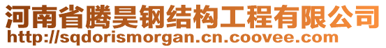 河南省騰昊鋼結(jié)構(gòu)工程有限公司