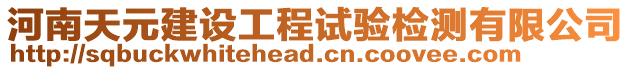 河南天元建設(shè)工程試驗(yàn)檢測(cè)有限公司