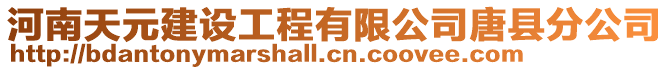 河南天元建設工程有限公司唐縣分公司