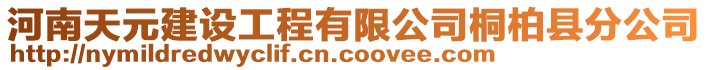 河南天元建設工程有限公司桐柏縣分公司