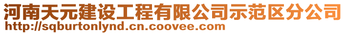 河南天元建設工程有限公司示范區分公司