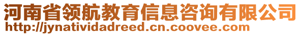 河南省領(lǐng)航教育信息咨詢有限公司