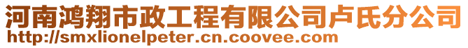 河南鴻翔市政工程有限公司盧氏分公司