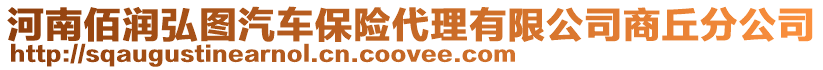 河南佰潤弘圖汽車保險代理有限公司商丘分公司