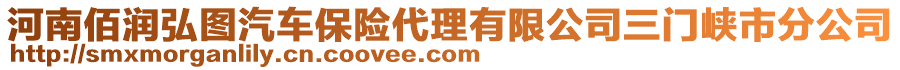 河南佰潤弘圖汽車保險代理有限公司三門峽市分公司