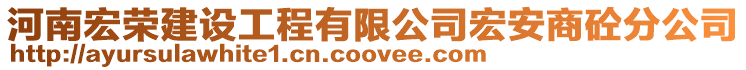 河南宏榮建設工程有限公司宏安商砼分公司